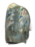 Labradorite Wolf Carving #181