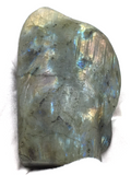 Labradorite Wolf Carving #181